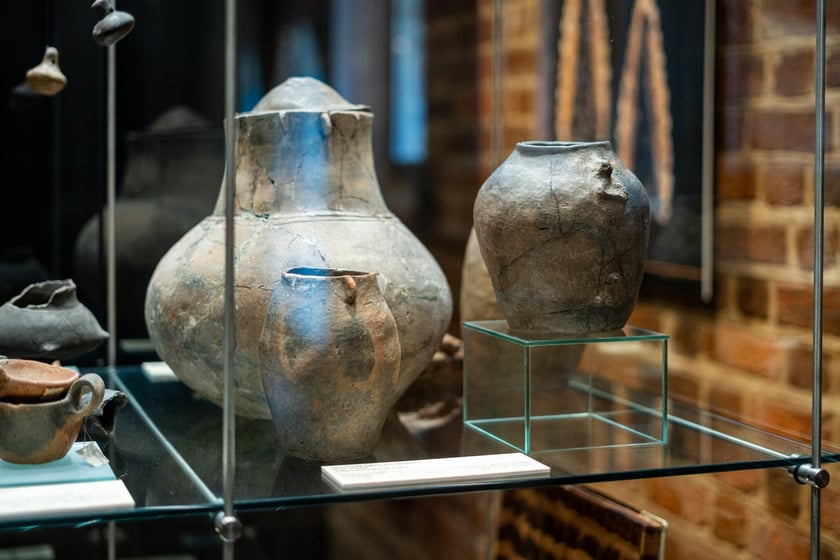 Wystawa Artificalia, naturalia, exotica w Muzeum Archeologicznym we Wrocławiu